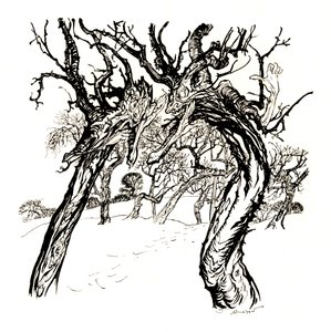 Hviskende træer, fra et fad med æbler, 1917, 1923 af Arthur Rackham