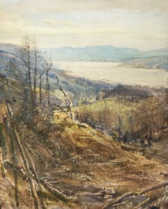 Coniston fra Near Tarn Hows (akvarel)