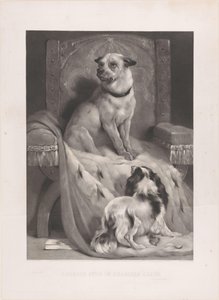Hund på en hermelinkappe på en trone Geordie sidder i Charlies stol (titel på objekt) af Arthur Turrell