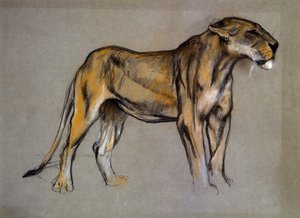 A Lioness, ca. 1900 (pastel på gråt papir)