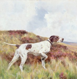 En pointer (olie om bord) af Arthur Wardle