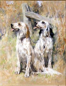 Engelske Settere af en Stile af Arthur Wardle