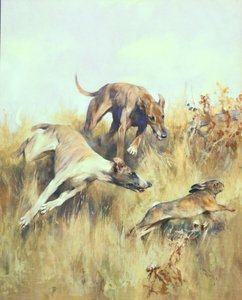 Greyhounds Giving Chase (gouache på papir)