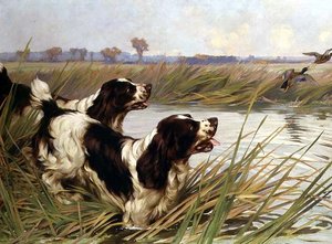 To springere, der jagter gråænder af Arthur Wardle