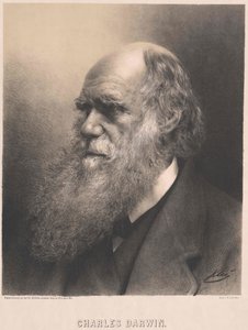 Charles Darwin af Artist Unknown
