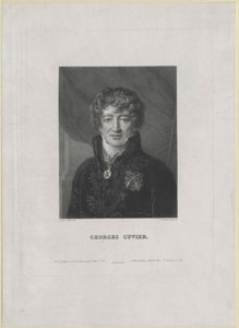 Georg Cuvier (tryk) af Artist Unknown