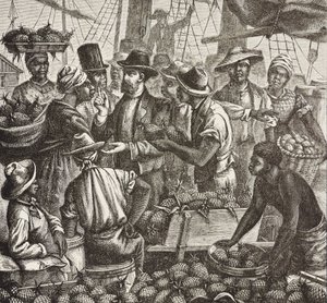 Englands historie (C19th). Kolonisering (1880). Bahama sælger ananas. Engelsk koloni på New Providence Island. Ananas var et af de vigtigste eksportprodukter fra havnen i Nassau. Gravering. Privat samling af Artist Unknown