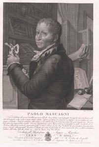 Paolo Mascagni af Artist Unknown