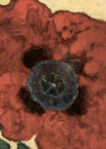 Artur Nikodem Poppy Flower af Artur Nikodem