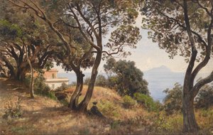 Ascan Lutteroth sydlig udsigt 1889