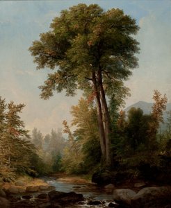 En naturlig monark af Asher Brown Durand
