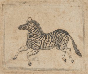 Seddelvignet med en zebra, ca. 1824-37.