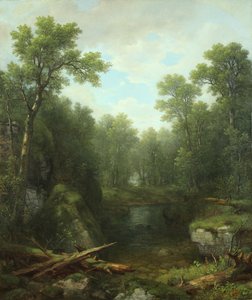 Chapel Pond Brook, Keene Flats, Adirondack-bjergene, New York, 1871