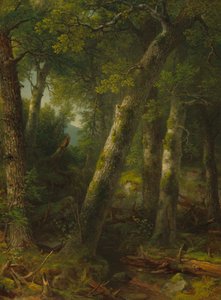 Skov i morgenlyset, ca. 1855.