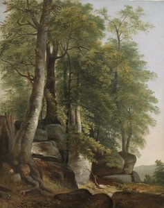 Landskab med klipper og træer, c.1845 af Asher Brown Durand