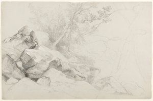 Studie af klipper med træer, Haag, Lake George, New York, 1862 (grafit på gråt papir) af Asher Brown Durand