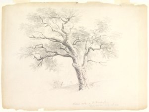 The Chestnut Oak på Hosack Estate, Hyde Park, New York med fem figurer og en kunstnerskitser, 1838 (grafit på papir) af Asher Brown Durand