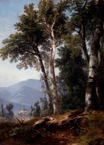 Skovlandskab af Asher Brown Durand