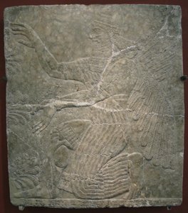 Bevinget guddom ved det hellige træ. Relief fra paladset Ashurnasirpal II i Kalhu, Nimrud, 9. århundrede f.Kr. af Assyrian