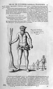 Antidiluvianske kæmper, 1678.