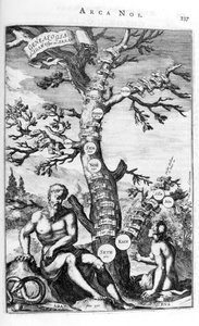 Adams slægtstræ, 1675. af Athanasius Kircher