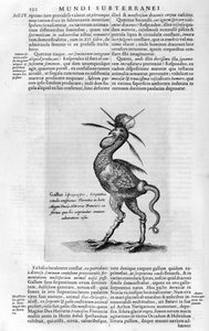 Mytiske skabninger, 1678. af Athanasius Kircher