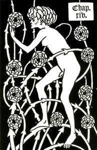 hermafrodit blandt roserne fra Le morte d