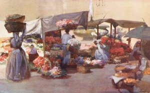 Rom: Campo de