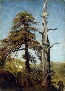 ""Studie af træer, Norge"" Maleri af August Cappelen (1827-1852) 1850 Nationalmuseet for kunst, Oslo, Norge