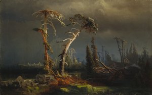 Stigende storme - døende urskov i storme (olie på lærred)