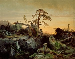 Døende jungle