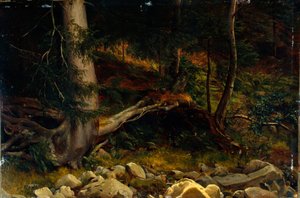 Studie af skovbund (maleri)