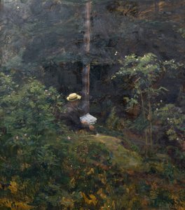 Skov interiør