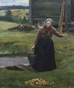 Vask kartofler