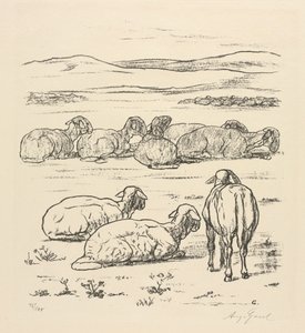 Får af August Gaul