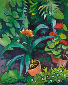 Blomster i haven, kliviaer og pelargonier af August Macke