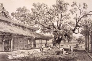 Buddhas tempel i Honan-forstaden i Kanton, plade 24 fra "Sketches of China", graveret af Eugene Ciceri (1813-90) 1842 (tonet litografi)