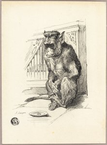 Tiggende abe af Auguste Andre Lancon