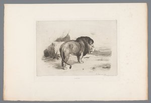 Løve Un vieux lion (titel på objekt) Franske raderinger fra 1874 (serietitel) L
