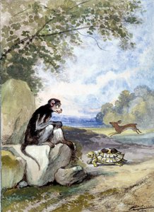 Illustration af fablen "Haren og skildpadden"" af Jean de La Fontaine. Akvarel af Auguste Delierre (1829-c.1890)