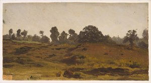 View of a Field, begyndelsen af 1850