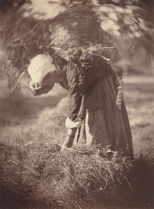 Bonde, ca. 1870.