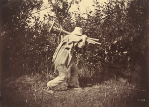 Bonde, ca. 1870 (foto) af Auguste Giraudon