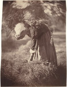 Bonde, ca. 1870 (foto)