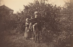 To kvinder med æsel, slutningen af 1870