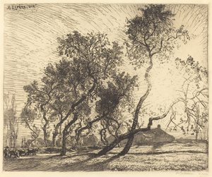 Holland Poplar Farm af Auguste Lepere