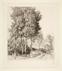 Petit Morin Valley nær Verdelot (Seine-et-Marne) (Lille Morin Valley nær Verdelot [Seine-et-Marne]) af Auguste Lepere