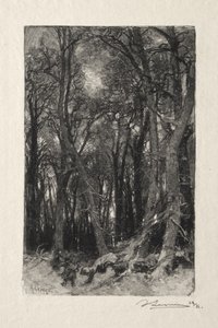 Le Bas-Breau af Auguste Louis Lepère