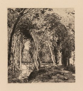 Auguste Lepère: Underskov, ved Rigonette Vendèe. af Auguste Louis Lepère