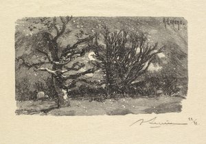 Fontainebleau Skov: Au dormoir de Lantara (La Forêt de Fontainebleau: Au dormoir de Lantara) af Auguste Louis Lepère